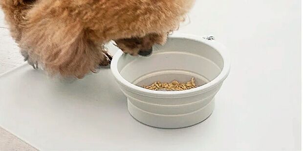Силиконовая складная чаша для животных Xiaomi Pet Silicone Folding Bowl Small (Beige/Бежевый) - 4